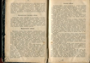 Охотникъ.Ф.В. Домбровский.