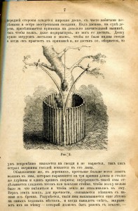 Охотникъ.Ф.В. Домбровский.