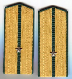 Погоны пограничные, репарация 1945 г. Высшее качество
