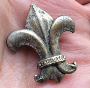 пионер-скаут