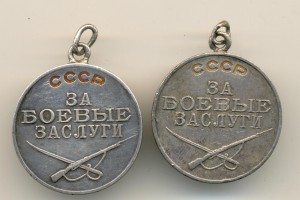 БЗ 2 шт. (3868)