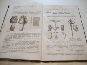 Руководство естественной истории. 1882г. Варавва.