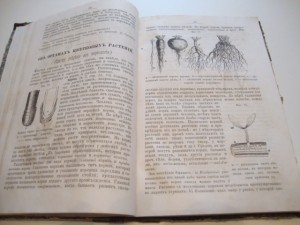 Руководство естественной истории. 1882г. Варавва.