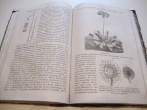 Руководство естественной истории. 1882г. Варавва.