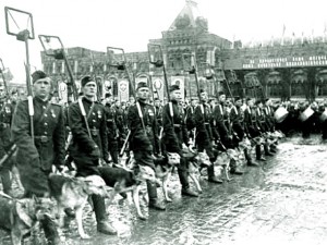 ОВ-2 на доке за самоходку -27 отд. бат. собак миноискателей.