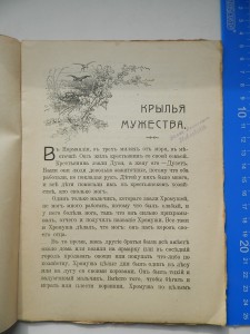 Крылья Мужества