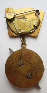 Ветеран Краснознамённого соединения (авиация).