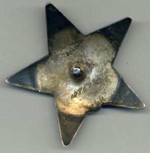 КЗ №1486743 красиввая!