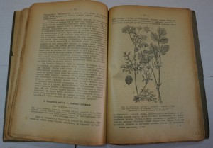 Рытов. ""Русские лекарственные растения". Т.1,2.