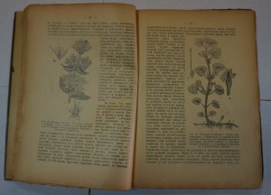 Рытов. ""Русские лекарственные растения". Т.1,2.