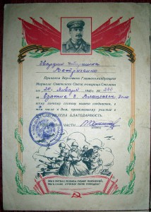 11 Благодарностей (Чертков, Бельград, Тезин, Коло..)