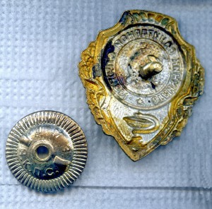 Отличник Санитарной Службы.