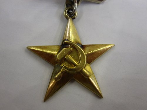 Герой Социалистического Труда № 18451