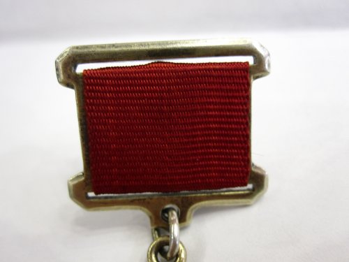 Герой Социалистического Труда № 18451