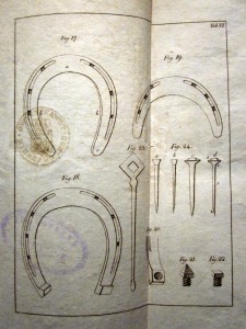 Куплю Польские книги до 1840 года.