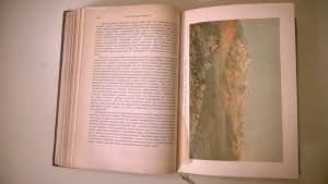 Неймайр М. История Земли.В двух томах.