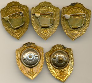 Отличники СА 5шт(винт,заколка)