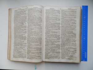 Полный Русско-немецкий словарь 1859г.Рига.