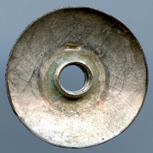 Совмещенный об окончании Лесного и Технологического инс.-тов