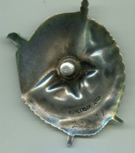 БКЗ винт № 23591