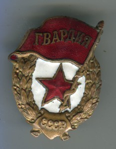 Гвардия-боевая