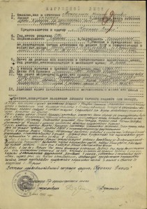 БКЗ № 377073 на доке люкс.