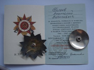 Орден ОВ-I степени №2390073+док