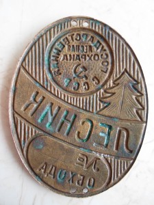 Лесник. Эмаль.