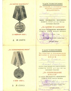 Прага + Будапешт, Состояние! Гвардия (5085)