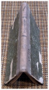 Проблема воздухоплавания. 1910 год.