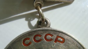 БЗ №25520 мондвор родной сбор