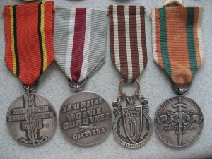 Много Польши , медали , кресты ,не дорого