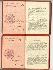 Отвага (после ВОВ), Б/З (после ВОВ) (5305)