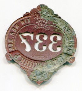 Стражник, Привислинская железная дорога. Редкий.