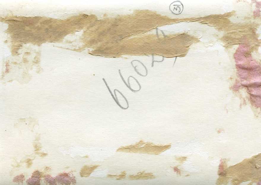 Лётчик-штурмовик С.ГОРЛИН. Ленинградсий фронт. 1943 г.