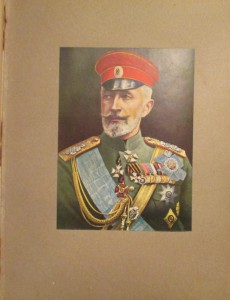 2 тома Истории Великой войны 1915 г. Из.Васильева Москва.