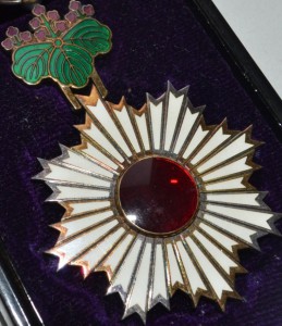 Восходящее солнце 5 степени в коробке