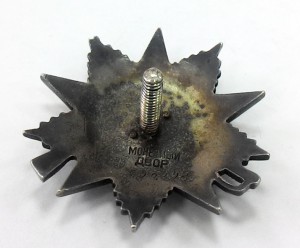 ОВ 2 ст. № 590298 Рыбий глаз