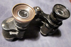 бинокль Gottinga 6 X 24