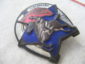 ОСОАВИАХИМ. Ворошиловский всадник.