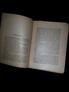 В. Блосс. История революции в Германии