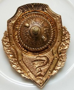 Отличник санитарной службы . МТХ.