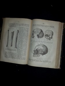 Дж. Лёббок. Доисторические времена