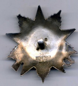 Рыбий глаз 601965
