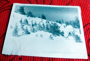 Двое в голифе, трое в шапках и лыжники