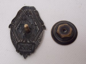 Всеросийский союз рабочих химиков (ВСРХ)