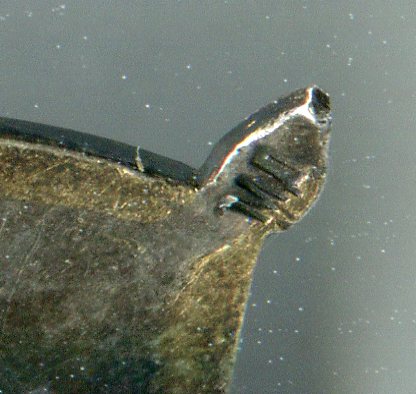 ГТО 2ст. "МД"