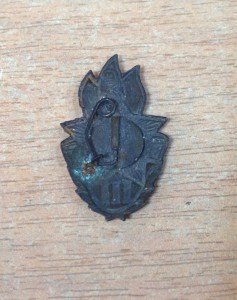 Всегда готов 3 ступень