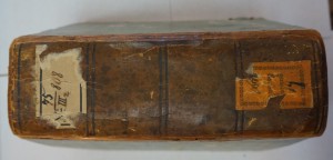 "Стихотворения барона Дельвига". 1829 г.
