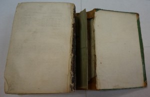 "Стихотворения барона Дельвига". 1829 г.
